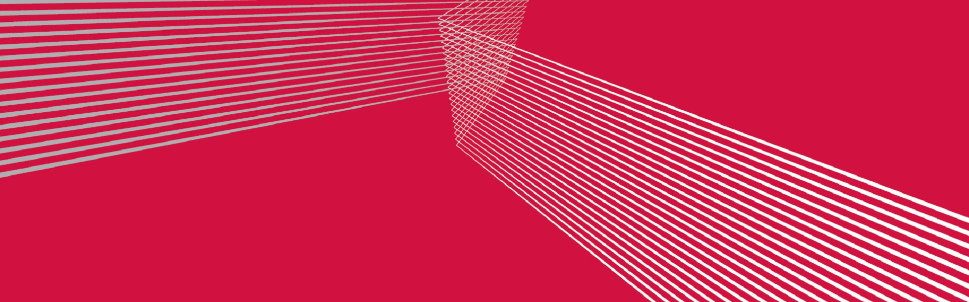 banner-website