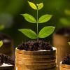 Impact of Physical Climate Risks on Financial Assets