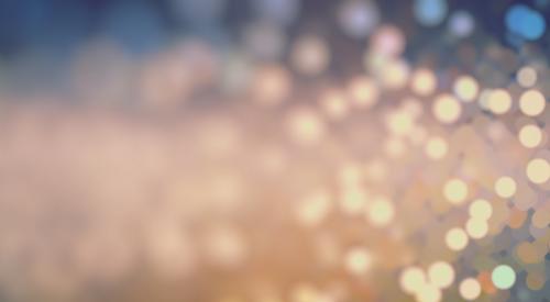 Successes in latest ARC funding schemes rounds