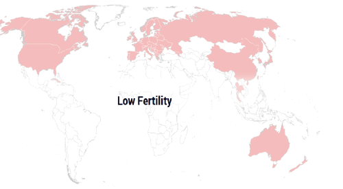 In Australia fertility is falling significantly for low educated women 