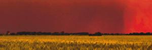 climate change CEPAR climate change CEPAR