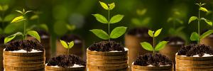 Financial prosperity Financial prosperity