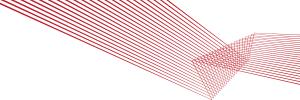 Young researchers in ageing population Young researchers in ageing population