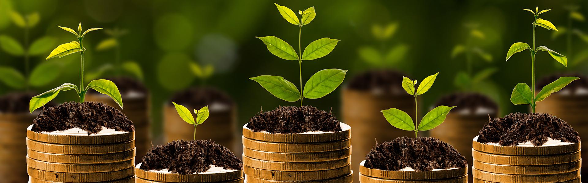 Monetary growth Monetary growth
