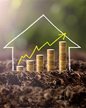 Financial growth Financial growth