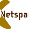 NetSPAR logo