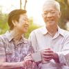 Elderly couple enjoying life