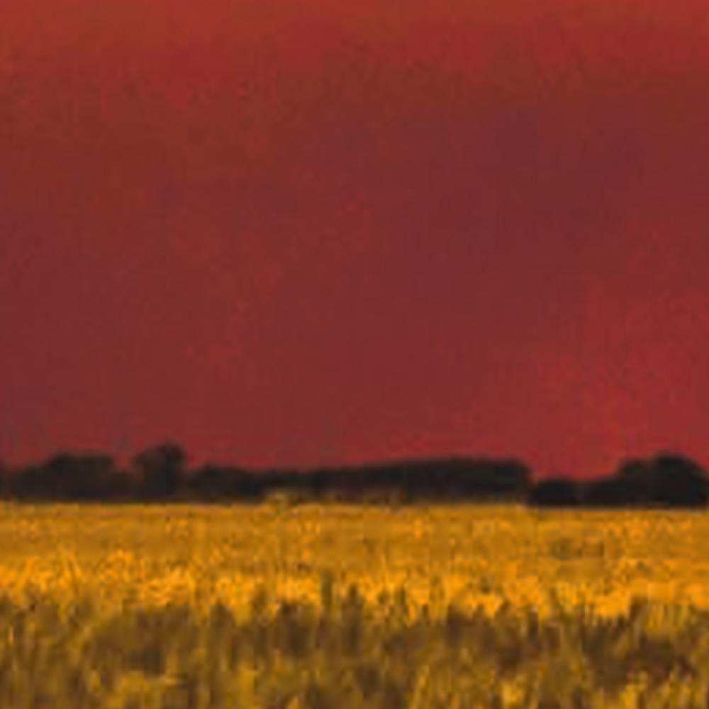 climate change CEPAR