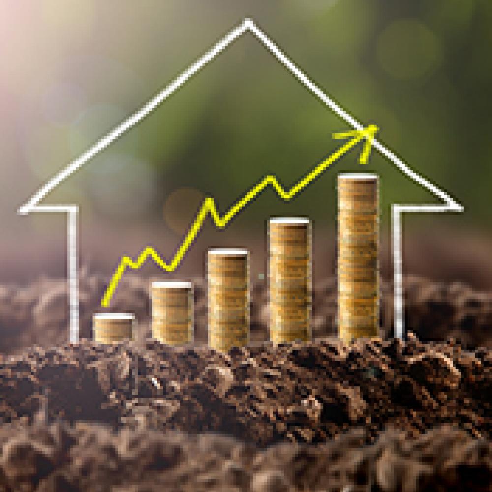 Financial growth